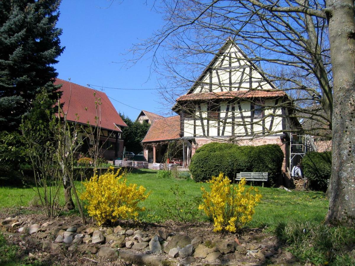 Le Gite Des Ecureuils Schalkendorf Kültér fotó